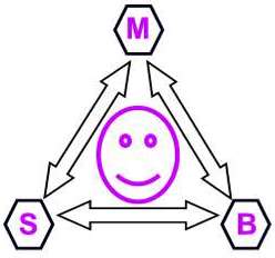 mind, body, spirit diagram